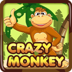 crazy monkey